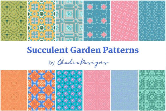 Succulent Garden Surface Patterns